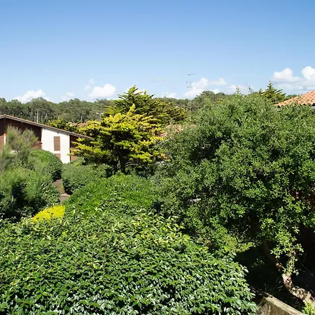 Mitoyenne Avec Jardin, Proche A Seignosse, Piscine, Parking Prive Et Wifi - Fr-1-239-421 Semesterbostad *