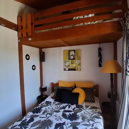 Mitoyenne Avec Jardin, Proche à Seignosse, Piscine, Parking Privé Et Wifi - Fr-1-239-421 Casa de Férias Seignosse