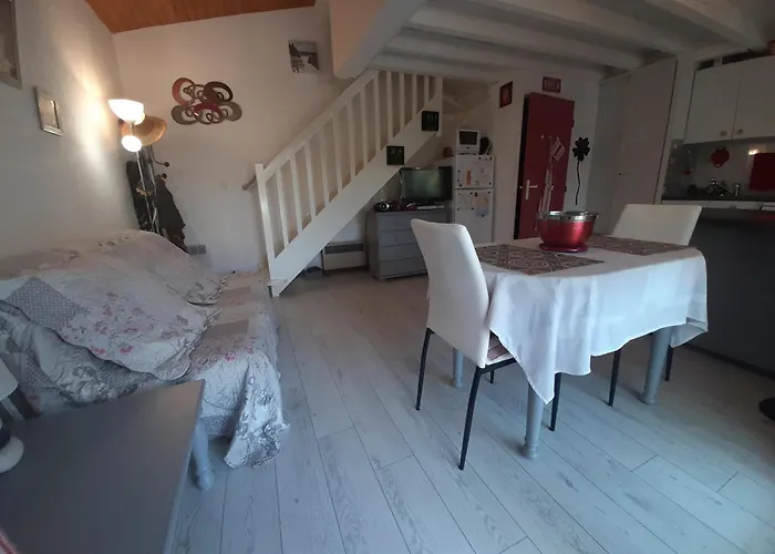 Mitoyenne Avec Jardin, Proche A Seignosse, Piscine, Parking Prive Et Wifi - Fr-1-239-421 Tatil Evi